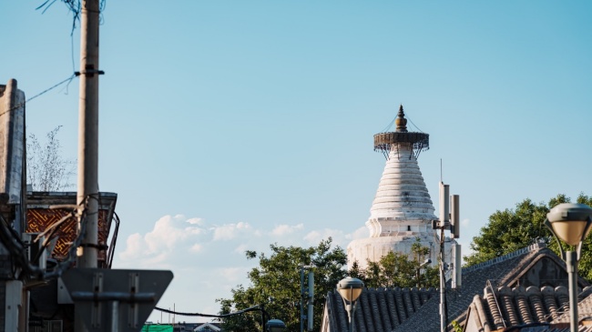 19北京市白塔寺管理处（图虫）.jpeg
