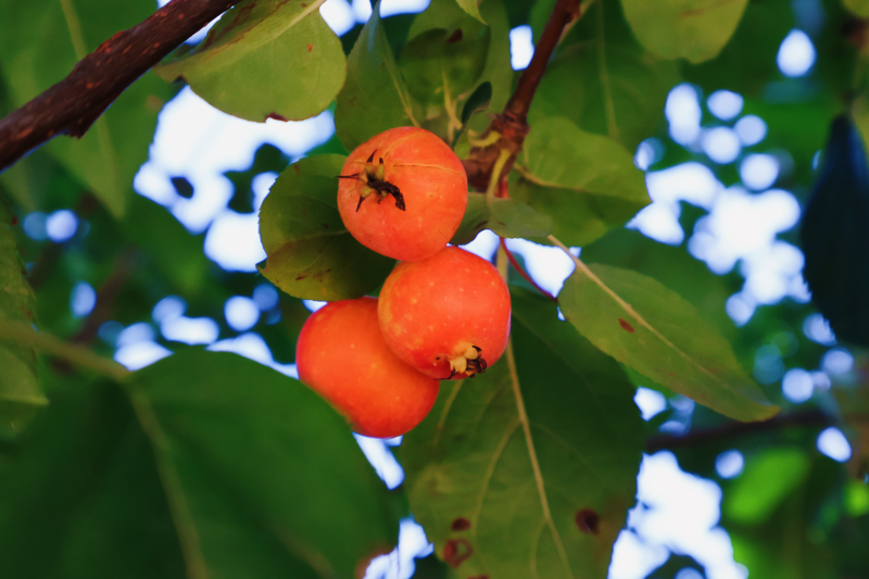 图片5.png 图片5.png