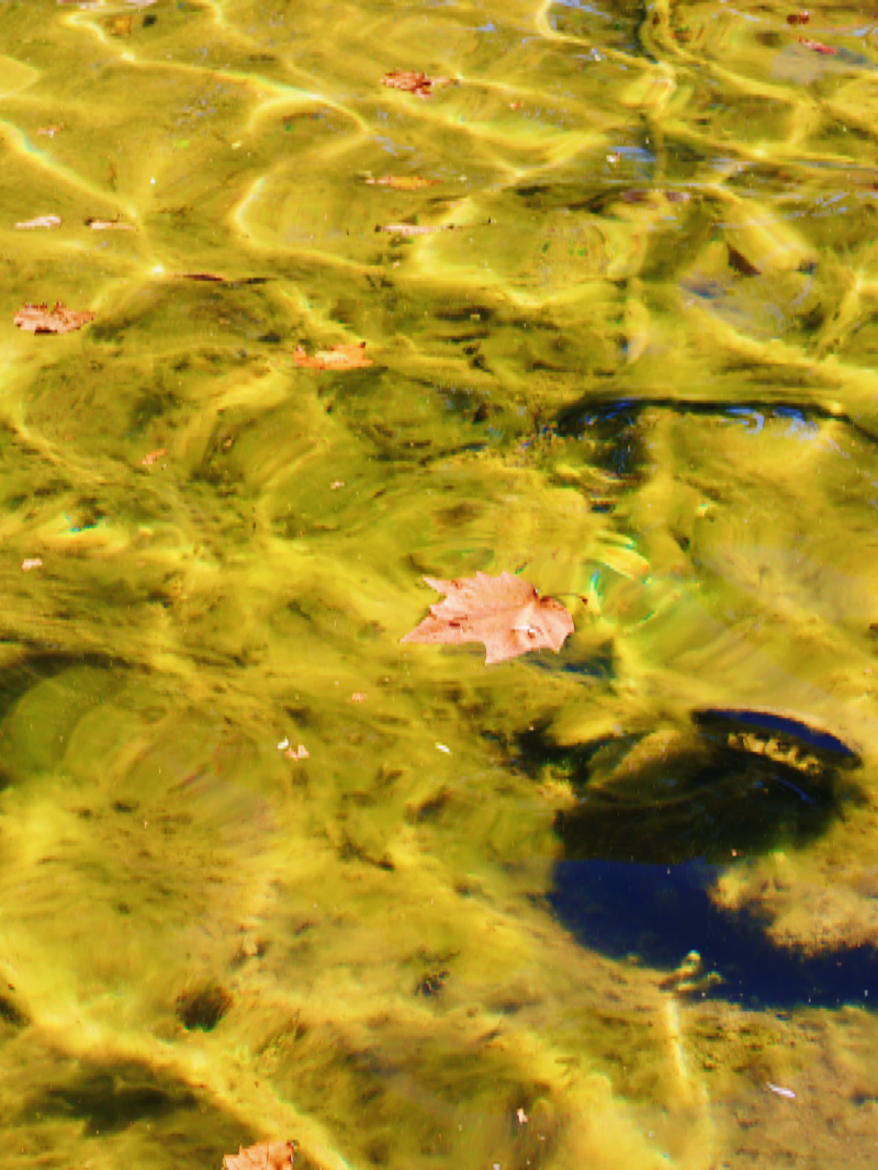 图片7.png 图片7.png