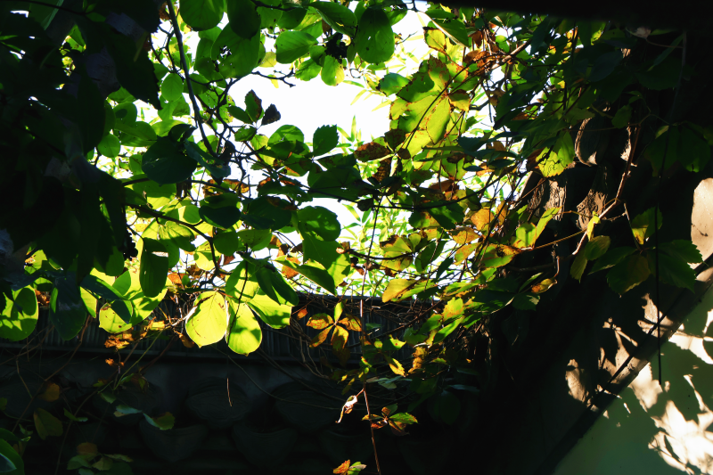 图片8.png 图片8.png