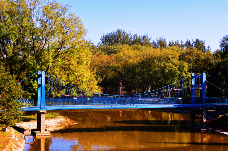 图片10.png 图片10.png