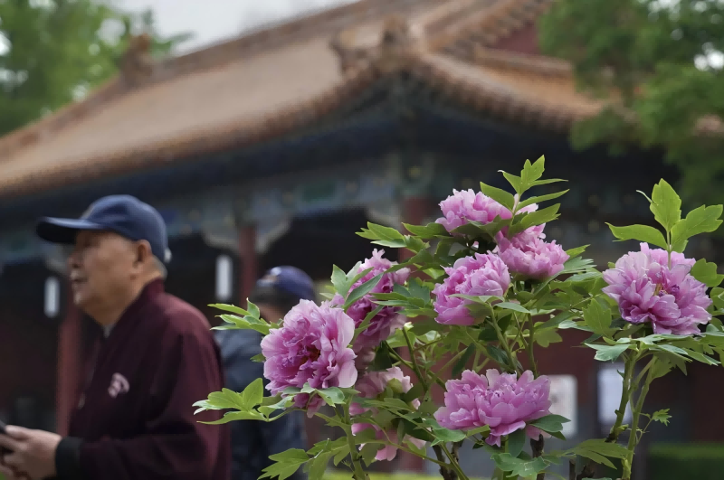 图片 1.png