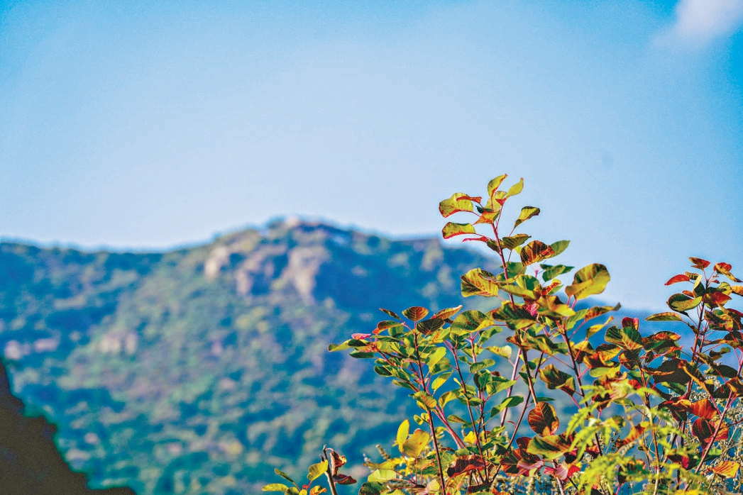 图片1.png 图片1.png