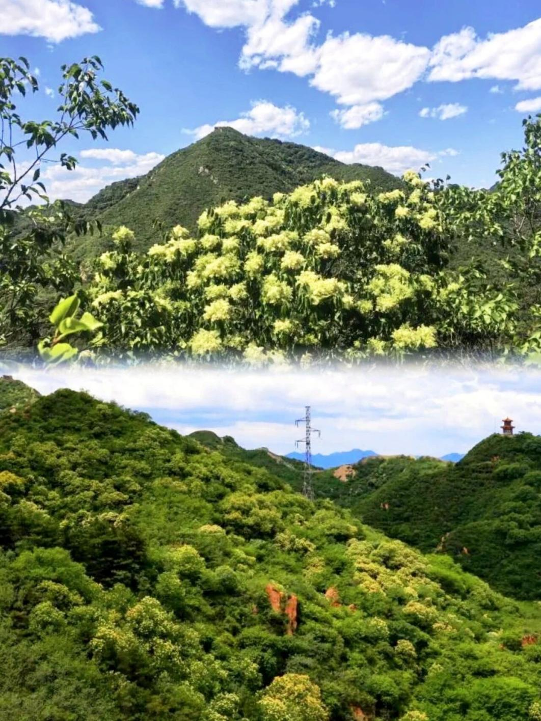 图片5.png 图片5.png