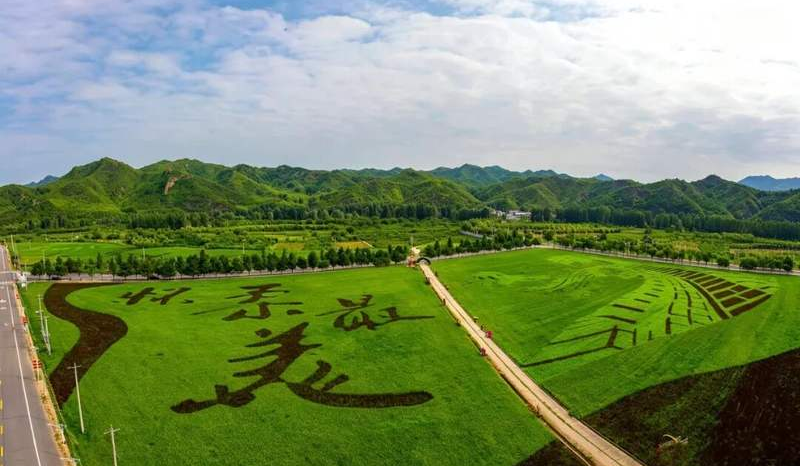 内文800 3.png 内文800 3.png