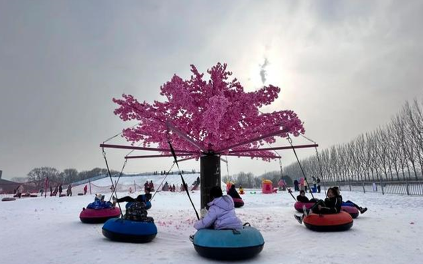 图片6.png 图片6.png