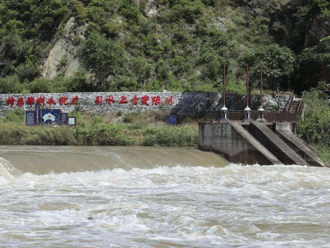原图.jpg