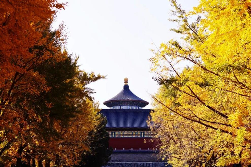 图片2-天坛公园.png 图片2-天坛公园.png