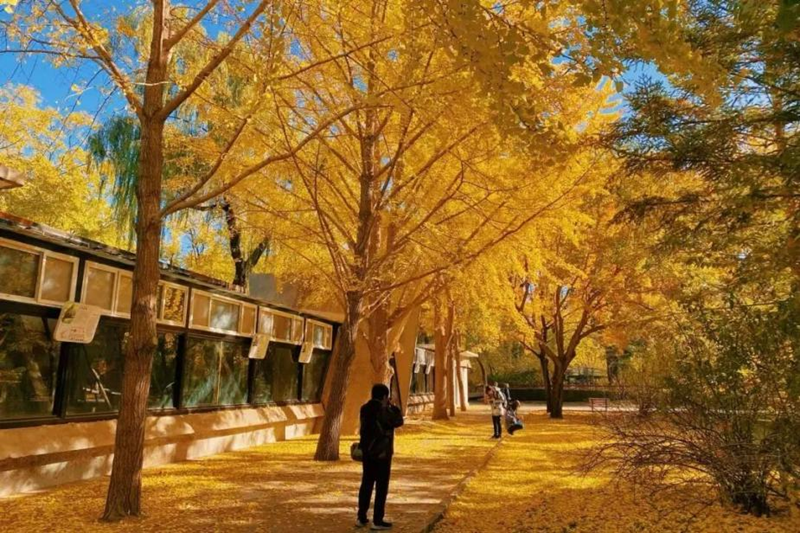 图片8-北京动物园.png 图片8-北京动物园.png