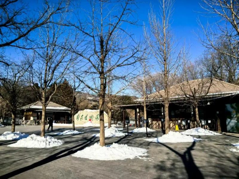 内容页800 北京日报(1).jpg