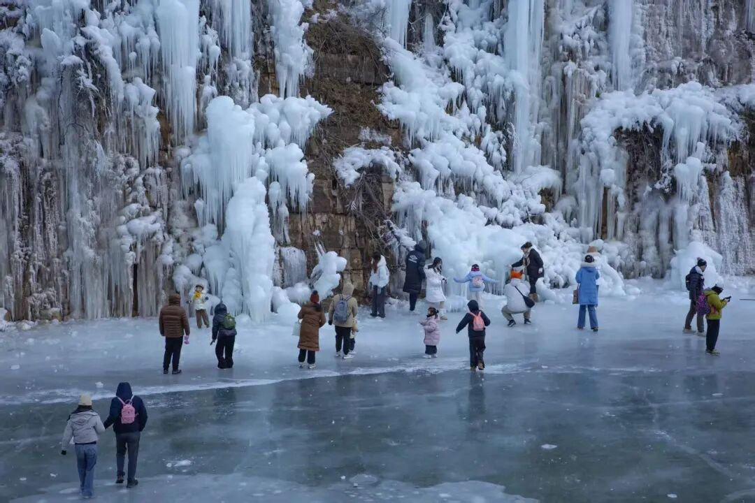 图片6.png 图片6.png