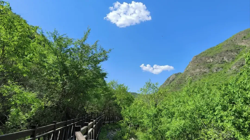 图片5.png 图片5.png