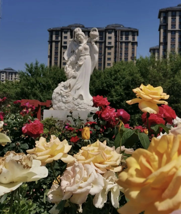 图片8.png 图片8.png