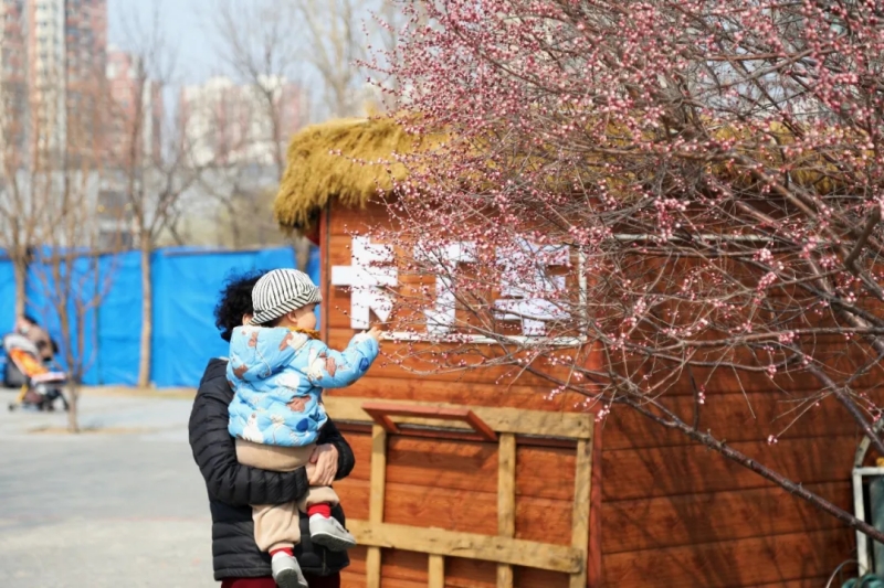1. 常营公园 :常营之窗公号 800.jpg 1. 常营公园 :常营之窗公号 800.jpg