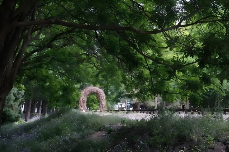 将府公园2.jpg